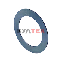 S55-78-1  Bearing washer  AS5578   INA