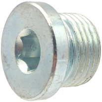 ПРОБКА С БОРД G1/2 M21x1/2G ВЪТРЕШЕН шесстостен  DIN908