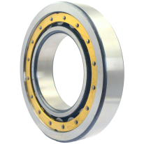 R75-115-20  Bearing NU1015MA  SKF