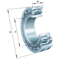 RDS95-170-43  Bearing 22219-E1-XL   FAG