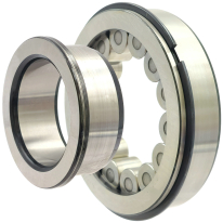 R45-100-25 Лагер 315824-NJG309-NR/C3   без сепаратор   SKF